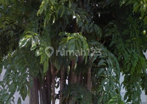 Termurah Manyar Jaya jalan lebar 9juta/ M2 negooooo Termurah Manyar Jaya jalan lebar 9juta/ M2 negooooo