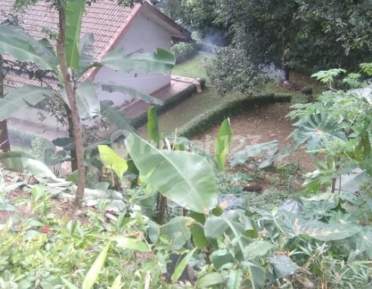 Tanah lokasi strategis...untuk para investor Tanah lokasi strategis...untuk para investor