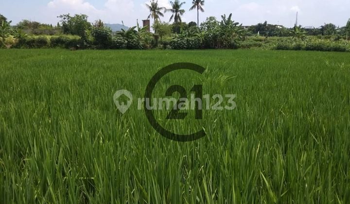 Tanah Kp. Larangan Tanah Kp. Larangan