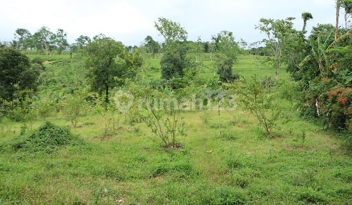 KAVLING SEKITAR 1 HA,SHM, DAERAH YANG BERKEMBANG PESAT