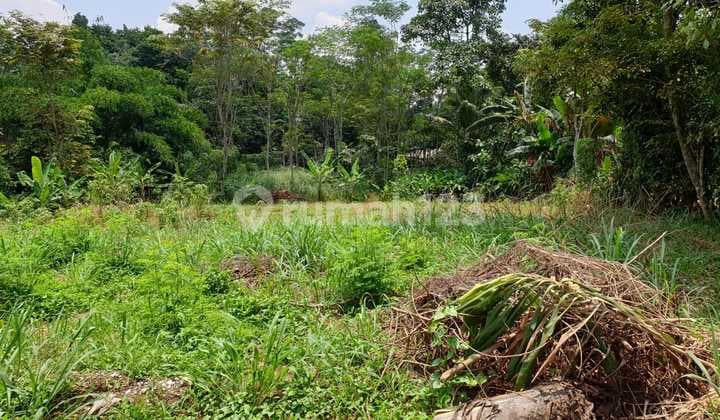 Tanah seluas 7000m2 di cidokom Gunung Sindur