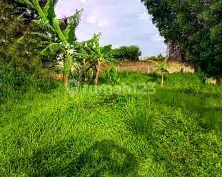 KAVLING DI AREA BERKEMBANG PENGASINAN, DEPOK. SHM