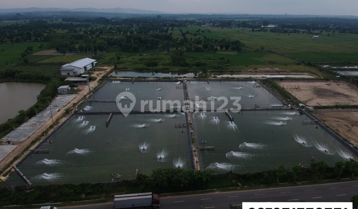 Tanah Tambak Bancar, Tuban Tanah Tambak Bancar, Tuban