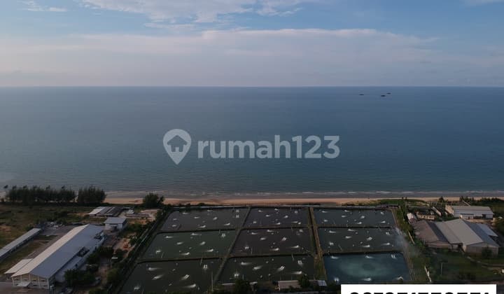 Tanah Tambak Tambakboyo, Tuban