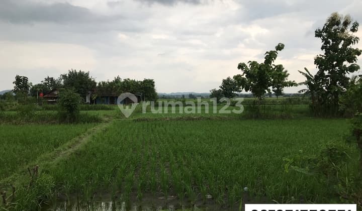 Industrial Land in Ngujung and Sanggrahan Villages, Gondang, Nganjuk