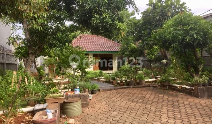 Cheap Land SUNRISE GARDEN Bonus House Suitable for Building a Cluster