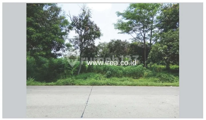 Tanah murah zona merah di Teras Boyolali Tanah murah zona merah di Teras Boyolali