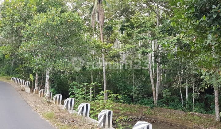 Tanah yg baik Perumahan , peternakan , perumahan Dll