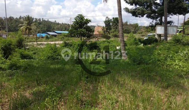 Tanah Jl. Lingkar KM 08