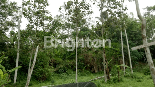 TANAH DAN BANGUNAN di GRESIK TANAH DAN BANGUNAN di GRESIK