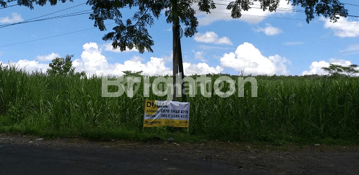 TANAH 0 JALAN RAYA KARANGKATES SUMBERPUCUNG