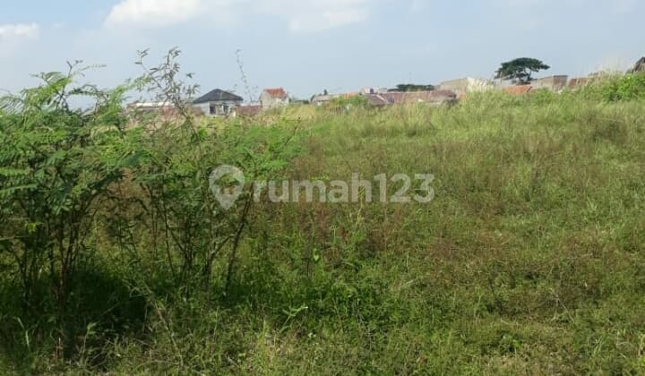 Tanah di Sindang Rered Ciwidey