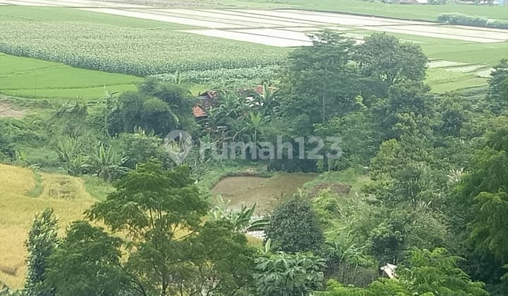 Tanah yg luas utk perumahan