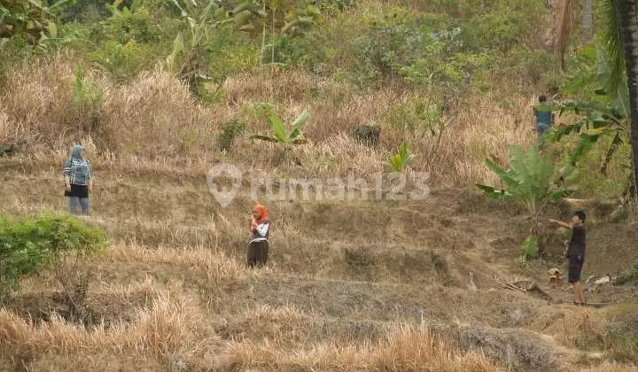 LAHAN MATANG SEBERANG PANTAI