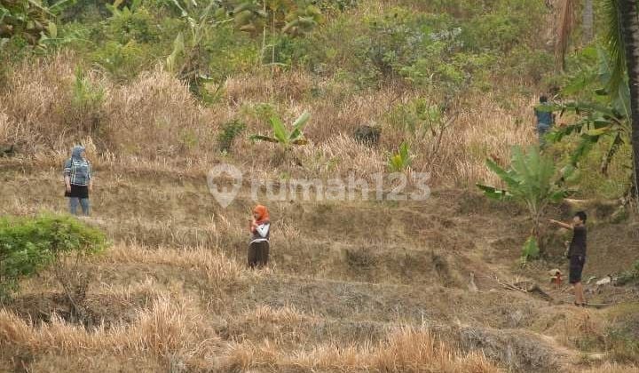 LAHAN MATANG SEBERANG PANTAI