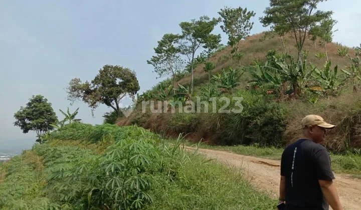 Tanah yg murah d blkg masuk jln KBP Tanah yg murah d blkg masuk jln KBP