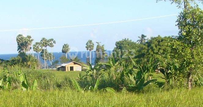 MAKE AN OFFER ! 2600m2 Land FREEHOLD at East Coast Bali + Sunrise and Ocean View, Saba
