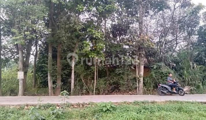 TANAH KAVLING MURAH SERANG CIBARUSAH CIKARANG