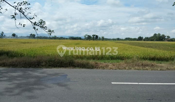 Tanah Kering Cocok untuk Gudang Sukoharjo