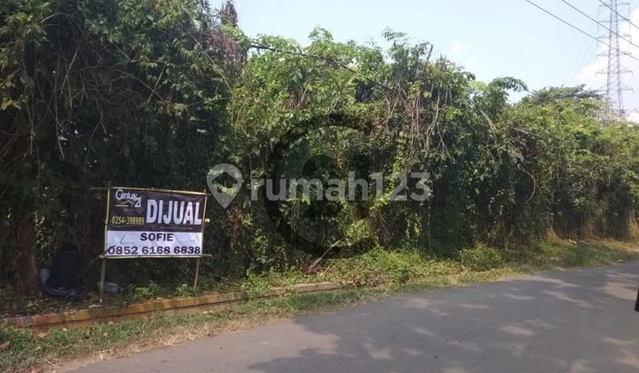 Tanah + Kolam Rangkasbitung Tanah + Kolam Rangkasbitung