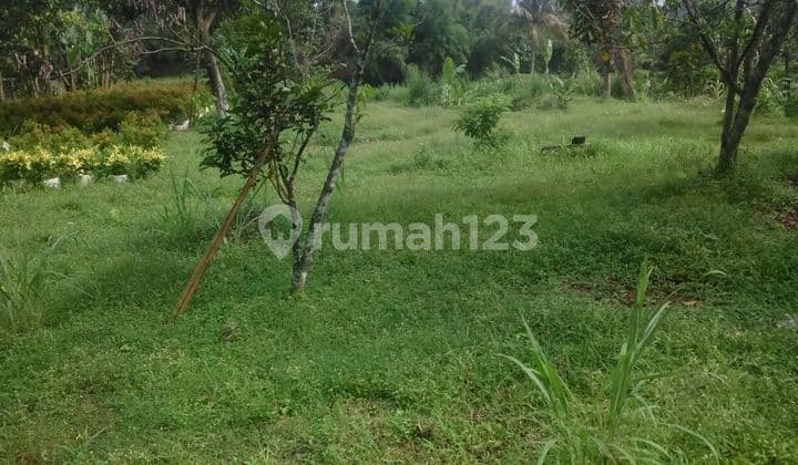 Cocok untuk membangun Usaha baru. Tanah di Cidokom, Gunung Sindur, Bogor. sekitar 30 menit dari BSD