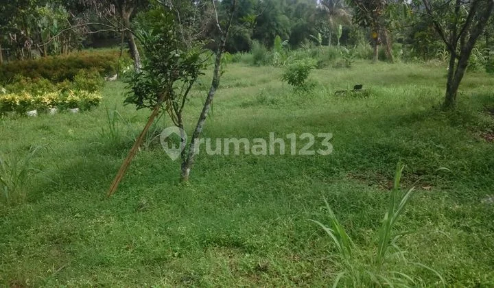 Cocok untuk membangun Usaha baru. Tanah di Cidokom, Gunung Sindur, Bogor. sekitar 30 menit dari BSD