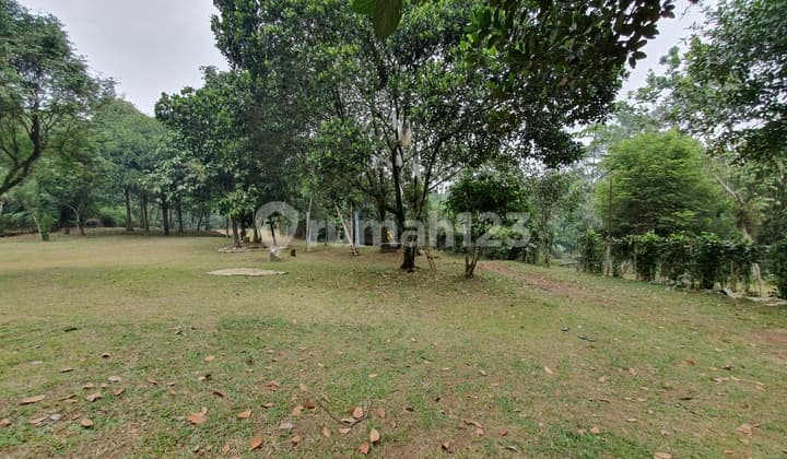 For Sale Tanah Di Pasir Putih , Parakan , Cinangka, Sawangan Shm - Sertifikat Hak Milik 20000 Squaremeter, Harga dibawah NJOP