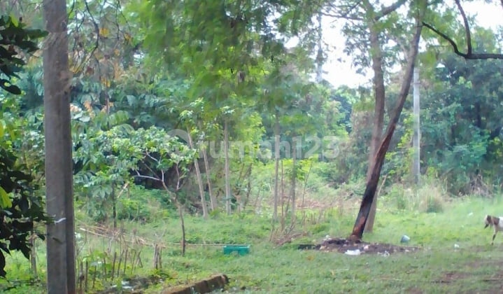 kavling exclusive di daerah strategis..surat hak milik