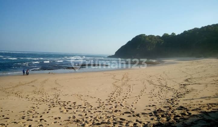 Beautiful Beach Front Land In Wane Beach Sumbawa
