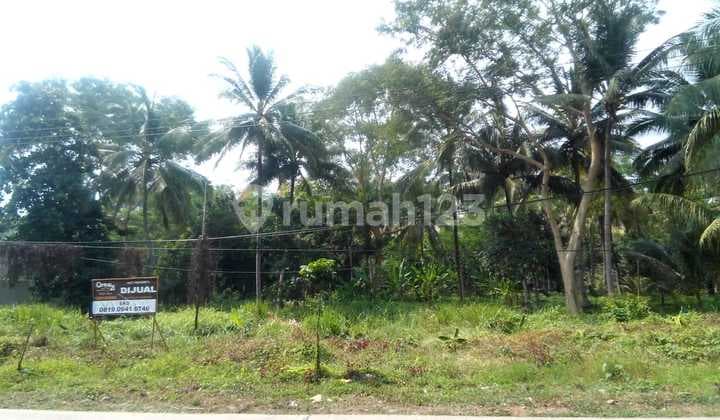 Tanah Pasauran Cinangka