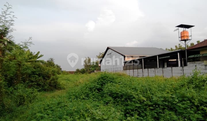 Tanah Strategis Jalan Raya untuk Gudang Jl Pantura Pertigaan Arteri Jalan Weleri Kendal