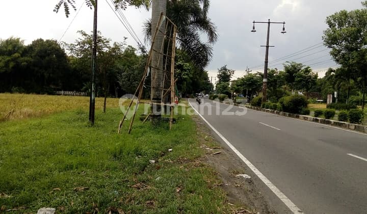 Strategic Affordable Land on Raya Solo Tawangmangu, Karanganyar