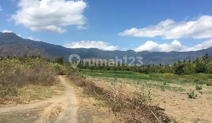 Tanah Tepi Laut Cocok untuk Hotel at Buleleng