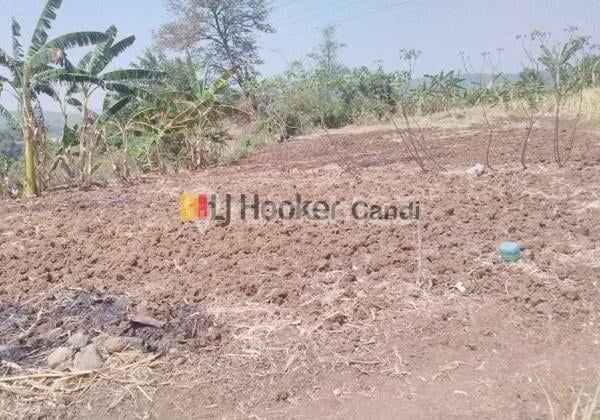 Kavling di Wonosari Ngaliyan Mangkang Semarang