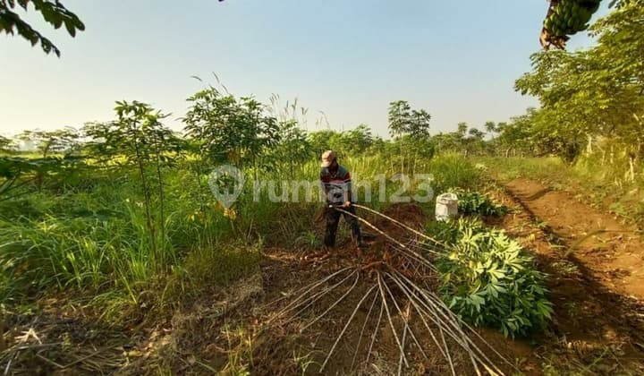 Tanah Kavling letaknya strategis (NY)