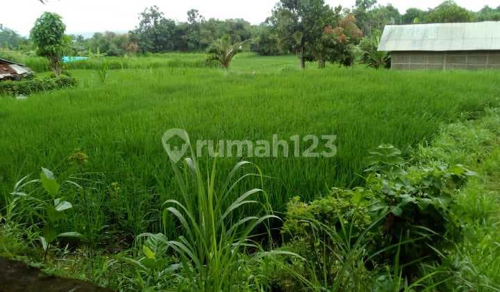 Tanah untuk Villa dengan pemandangan sawah