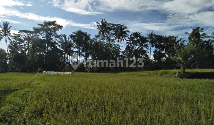 Tanah untuk Villa dengan pemandangan sawah dan tebing sungai