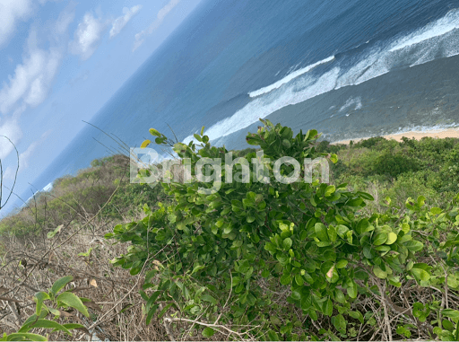 PECATU CLIFF LAND EAST OF OMNIA