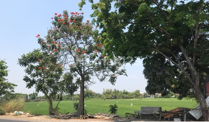 Tanah Industri di Lingkar TImur, Sidoarjo