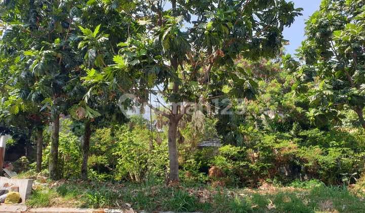 MURAH!!! Tanah Setraduta Cemara Mainroad, Harga BAWAH PASAR