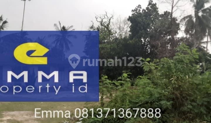 Tanah Jl.pasir putih kampar Pekanbaru Riau