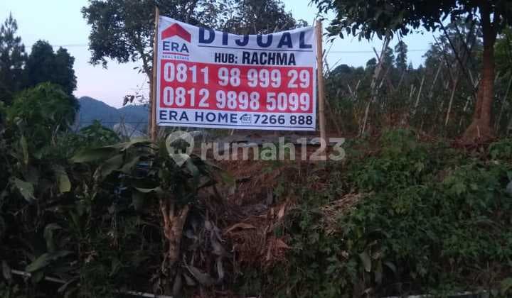 Tanah Di Cibodas Bandung Cocok Buat Invest