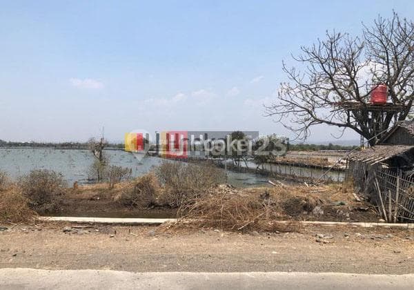 Kavling di Pelabuhan Kendal Jawa Tengah