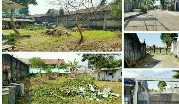 Tanah kavling di Bukit Cimanggu dekat stasiun KRL Cilebut Tanah kavling di Bukit Cimanggu dekat stasiun KRL Cilebut