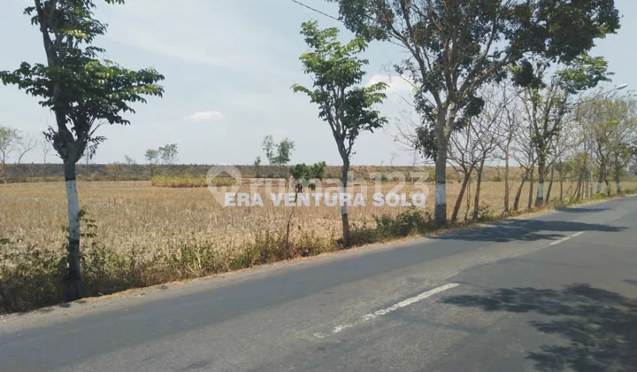 Tanah Strategis Cocok Untuk Perumahan / Gudang Karanganyar Tanah Strategis Cocok Untuk Perumahan / Gudang Karanganyar