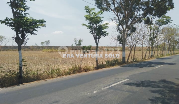 Strategic Land Suitable for Housing / Warehouse in Karanganyar