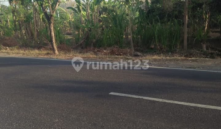 Tanah strategis dan murah di buleleng Bali, cocok untuk investasi