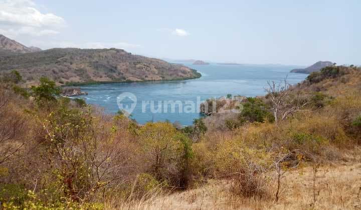 Labuan Bajo, dekat Ayana, Hanya Rp 2,5 jt/m