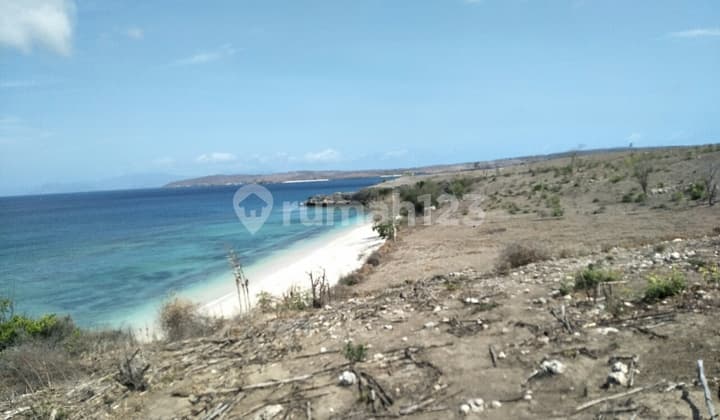 Lahan Murah Los Pantai Pink Lombok Harga Nego Sampi Deal