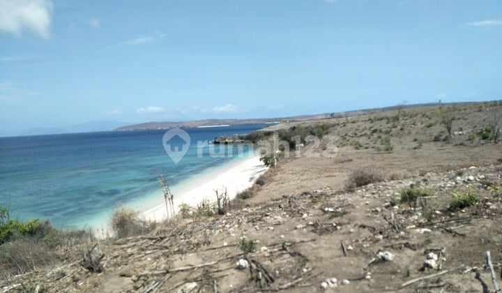 Lahan Murah Los Pantai Pink Lombok Harga Nego Sampi Deal